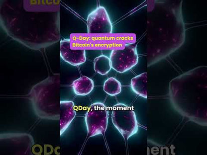 4-Video Pack